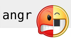 angr